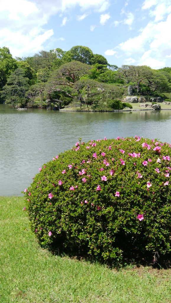 みどりの日を満喫！六義園に出かけました。
