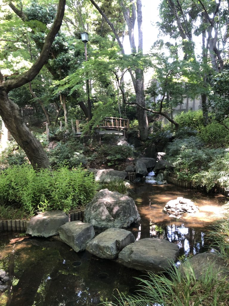 ☆ウォーキング☆野鳥の森公園に行きました。