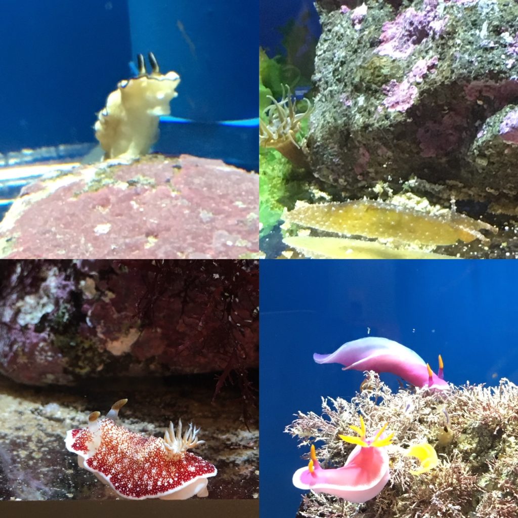 ☆彡碧の世界に癒されて☆彡