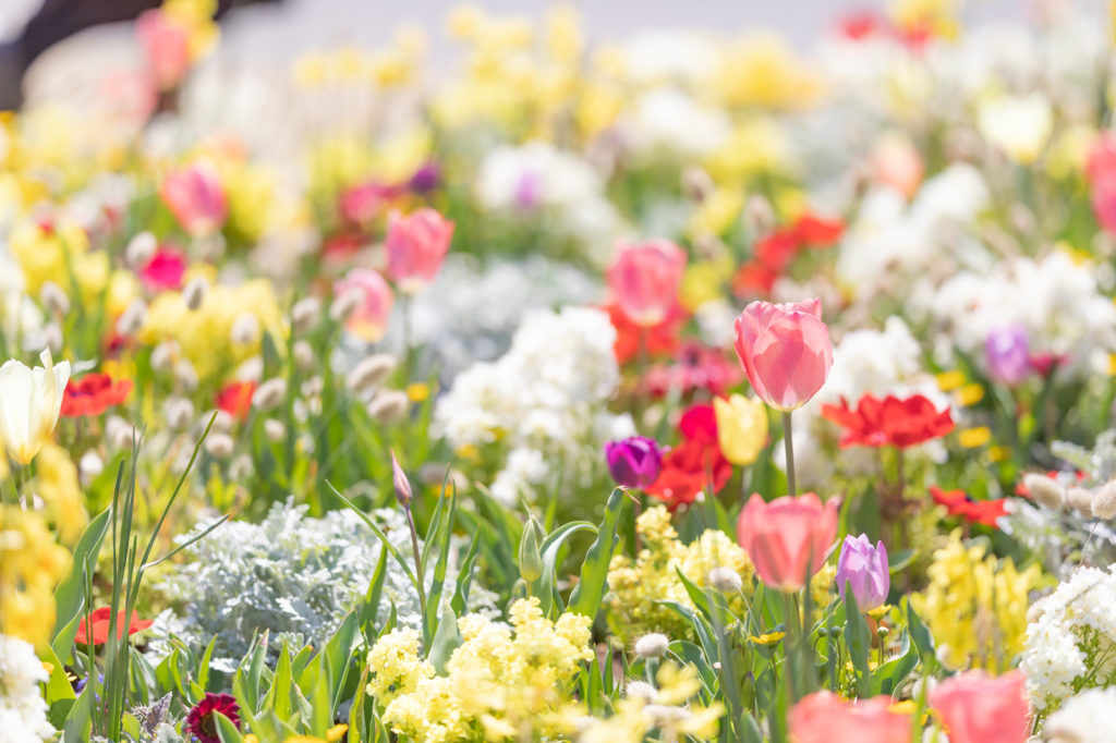 3月は、○○○が動く時期