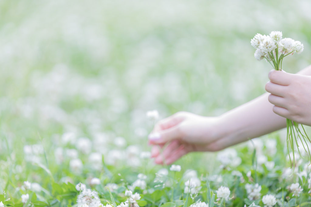 ＼Spring has come／