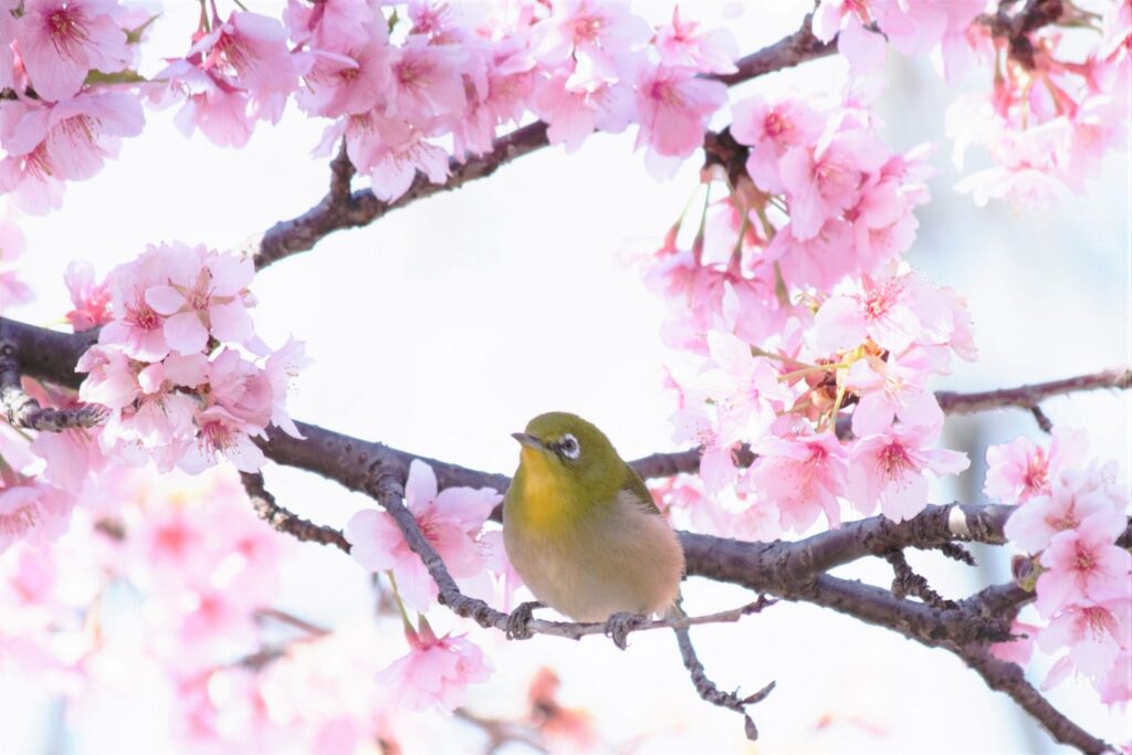 4月スケジュールのお知らせ