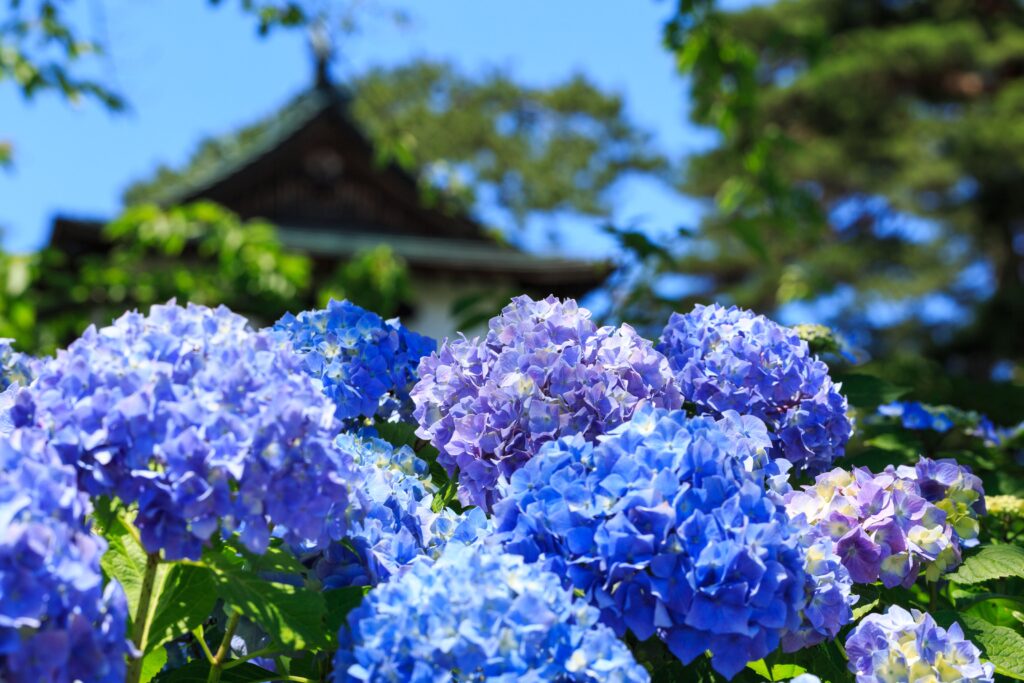 ☆梅雨を快適に過ごすためには？☆