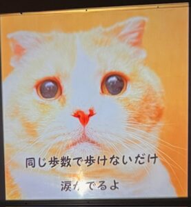 カラオケ大会楽しかった♪