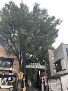 🚶🏻‍➡️行きが坂道ということは…!?🚶🏻‍➡️