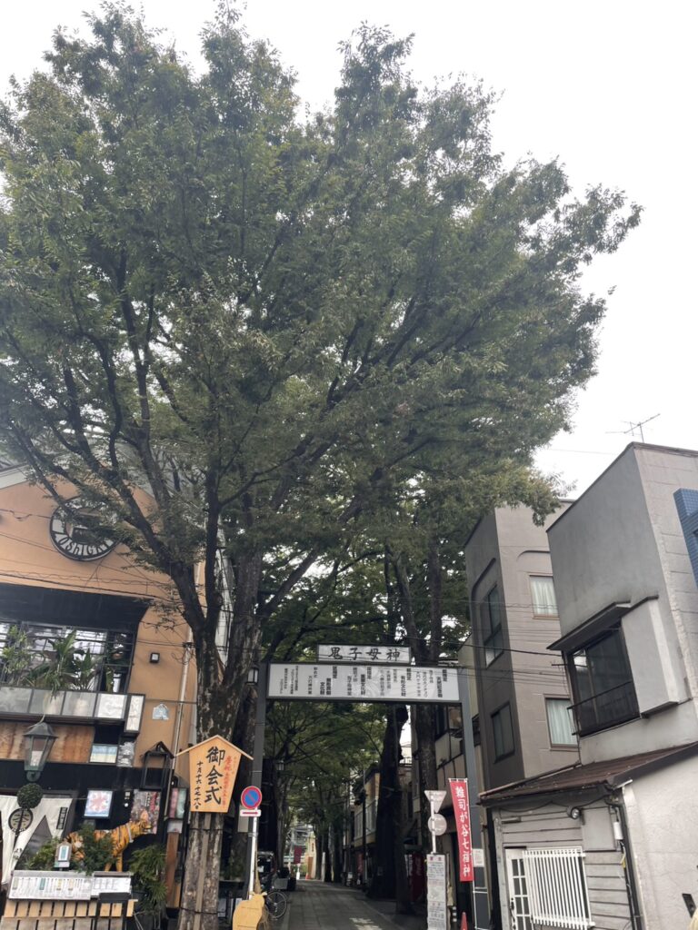 🚶🏻‍➡️行きが坂道ということは…!?🚶🏻‍➡️