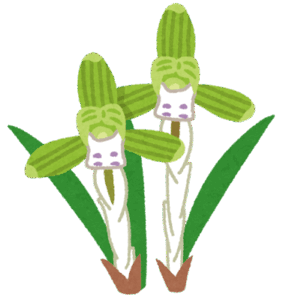 みなさんの寒さ対策なんでしょうか？