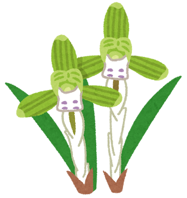 みなさんの寒さ対策なんでしょうか？