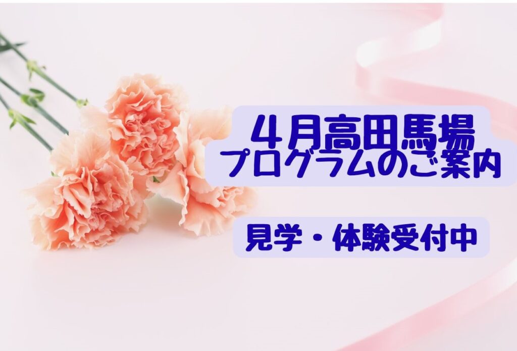 【４月のイベント】スケジュールのご案内